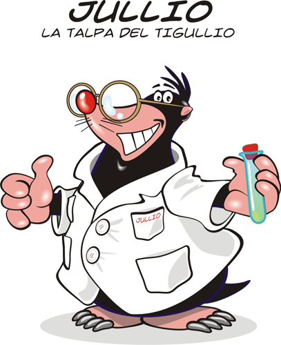 Immagine 9 Immagine 9